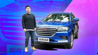哈佛视频,探索教育创新与未来人才培养之道