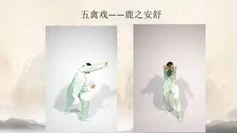 五禽戏视频教学,轻松掌握养生健身之道