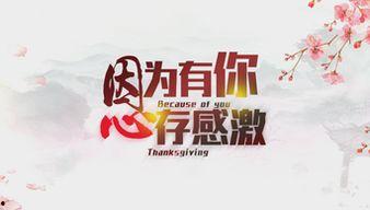 感恩视频素材,视频素材中的感人故事
