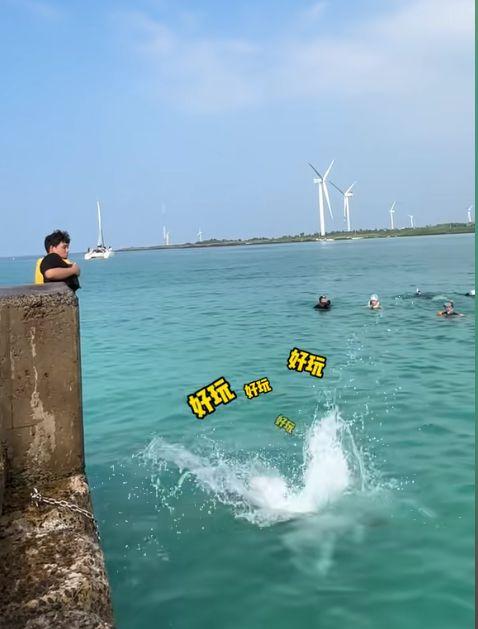 海边的视频,捕捉夏日海岸线之美