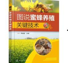 养中蜂视频,跟随视频探索中蜂养殖全过程
