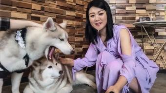 狗操人视频,揭秘动物与人类关系的微妙平衡