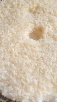 醪糟的做法视频