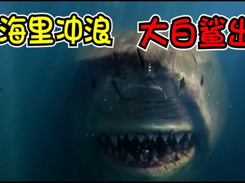白鲨视频,深海霸主惊悚揭秘