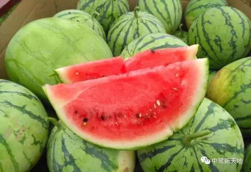 今日吃瓜来了,揭秘娱乐圈最新热点事件