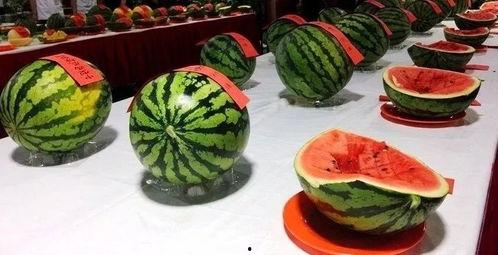 今日吃瓜来了,揭秘娱乐圈最新热点事件