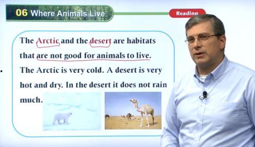 外教英语视频,Unlocking English Fluency: Insights from an Expert's Video Series