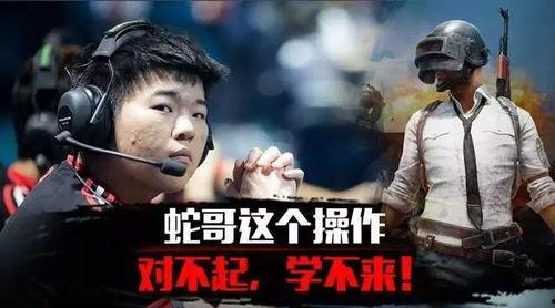 韦神吃鸡视频,惊险刺激的战场对决