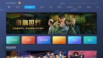 蜜蜂视频免费观看,解锁无限观影乐趣