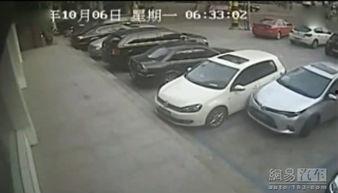 倒车停车视频,视频教学助你轻松驾驭