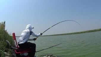 钓鱼方法视频,高效钓鱼技巧全解析