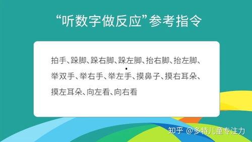 专注力视频,视频揭秘高效学习与工作之道