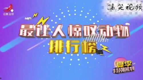 专注力视频,视频揭秘高效学习与工作之道