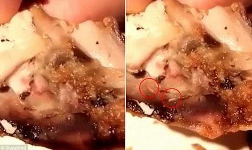 蛆的视频,视频揭示生命循环的奥秘