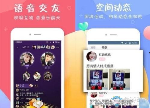 找对象视频,如何从找对象视频中找到心仪伴侣