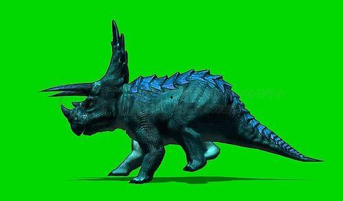 三角恐龙视频,揭秘史前巨兽的神秘生活