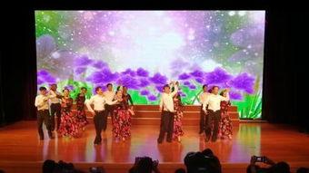 交谊舞视频大全,交谊舞视频大全精彩集锦