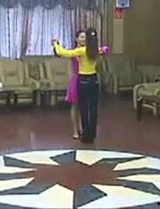 交谊舞视频大全,交谊舞视频大全精彩集锦