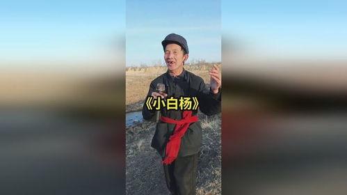 小白杨视频,绿色守护者的成长故事