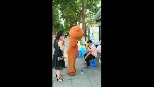 网红熊视频,萌态可掬，圈粉无数