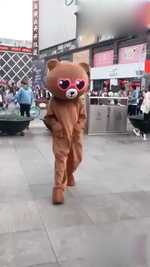 网红熊视频,萌态可掬，圈粉无数