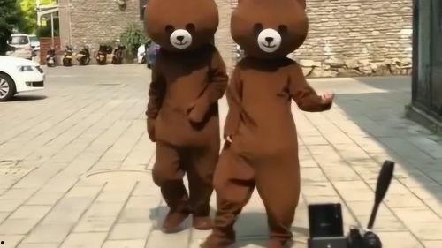 网红熊视频,萌态可掬，圈粉无数