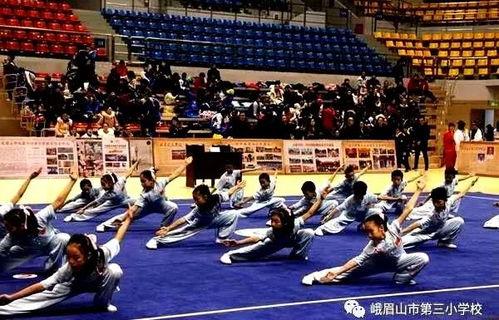 幼儿武术操视频,活力四溢，传承国粹