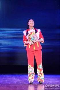 民间歌手视频,传承与创新中的音乐传奇