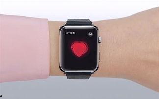 苹果手表怎么看视频,体验便捷观影新方式