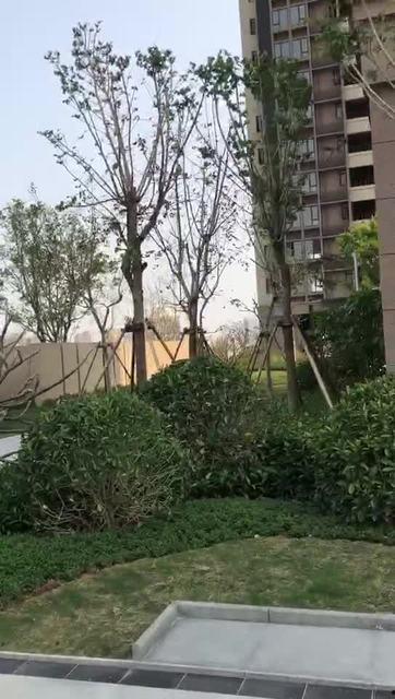 花园视频,探寻自然之美，感受生态和谐