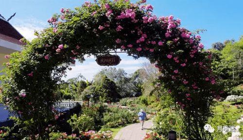 花园视频,探寻自然之美，感受生态和谐