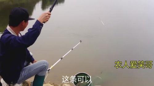 视频钩鱼,钓鱼高手教你一招视频钩鱼技巧