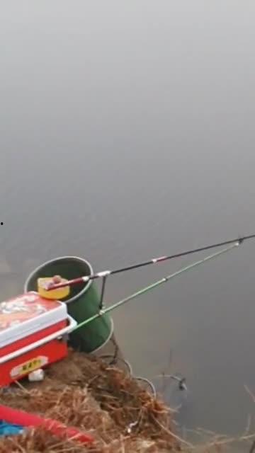 视频钩鱼,钓鱼高手教你一招视频钩鱼技巧