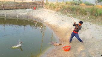 视频钩鱼,钓鱼高手教你一招视频钩鱼技巧
