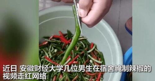 腌辣椒的视频,酸辣开胃，美味简单