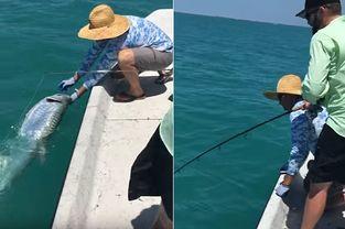 国外钓鱼视频,技巧与实战分享