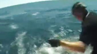 国外钓鱼视频,技巧与实战分享