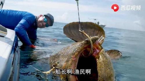 国外钓鱼视频,技巧与实战分享