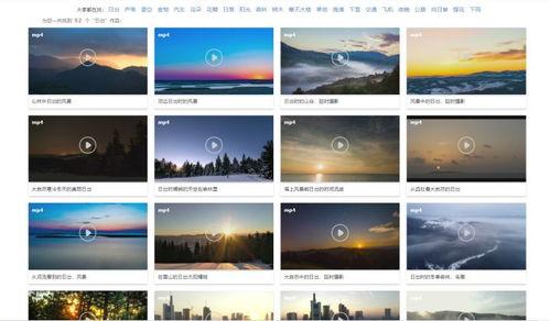 素材视频网,海量资源一网打尽，创意灵感无限拓展
