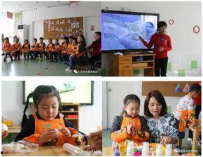 幼儿园课程视频,寓教于乐，探索童真世界
