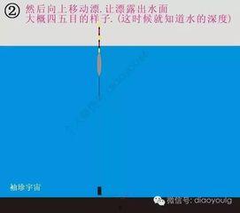 调漂视频教程,跟随视频教程轻松掌握钓鱼高招