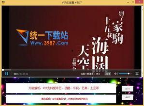 vip视频播放器,畅享高清影视的专属体验之旅