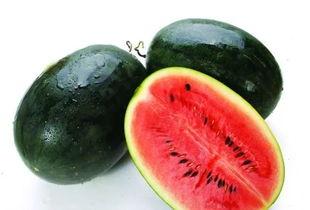 51黑瓜吃料网入口密码,解锁神秘资讯的钥匙