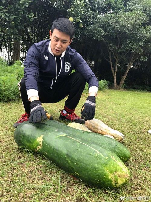 佳佳小拖把吃瓜爆料