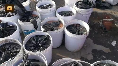 佳佳小拖把吃瓜爆料