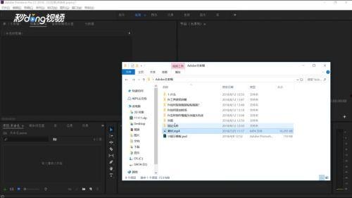 pr复制视频,高效剪辑技巧解析