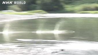 打水漂的视频,揭秘打水漂的绝妙技巧