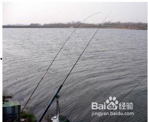 筏竿钓鱼视频,视频教学带你轻松掌握垂钓乐趣