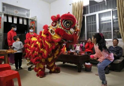 狮子拜年视频,萌动新春，欢乐满溢的动物祝福时刻