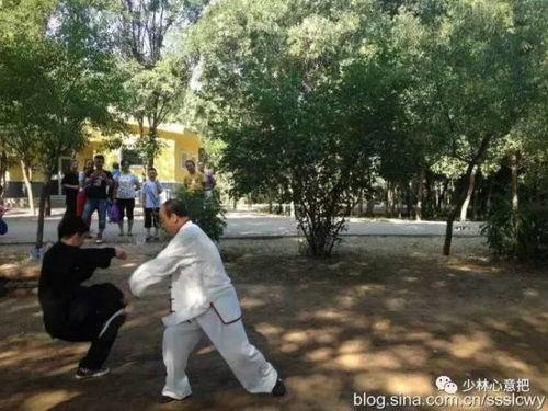 八极拳教学视频,领略传统武术精髓，掌握实战技巧